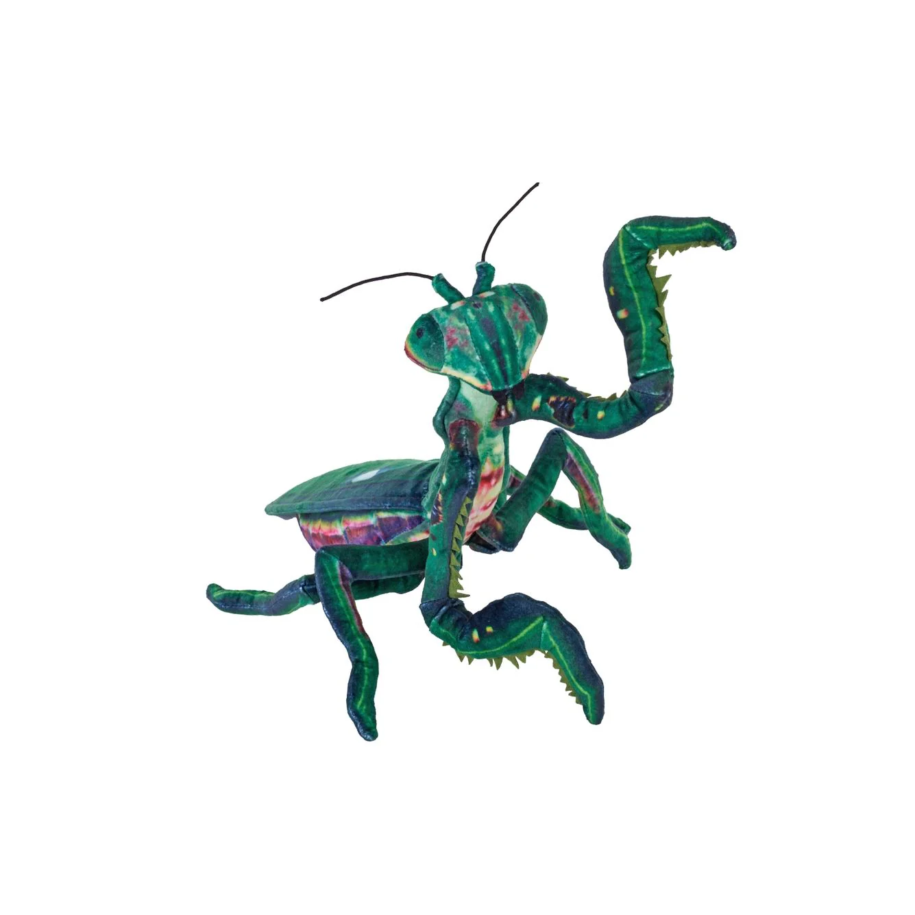 Thumbnail 2